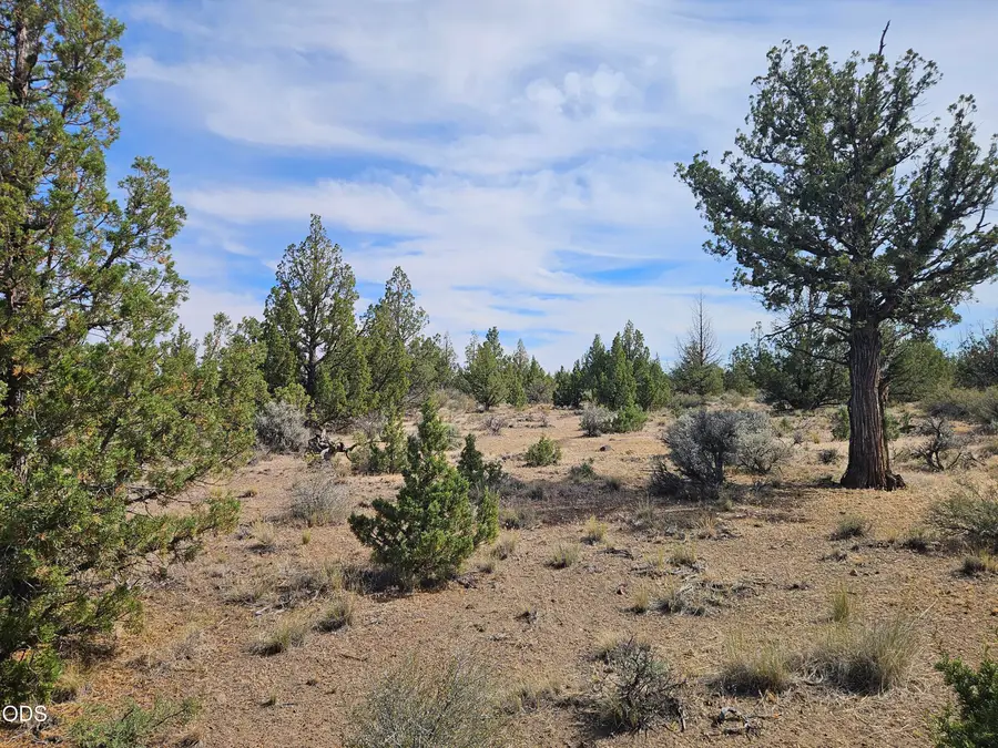 253 NW Maple Lane, Prineville, OR 97754 - #3