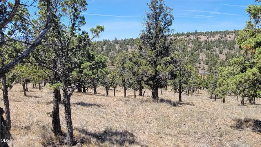 1121 SE Happy Trails Lane, Prineville, OR 97754 - #2