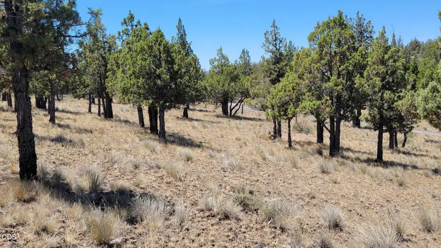 1121 SE Happy Trails Lane, Prineville, OR 97754 - #3