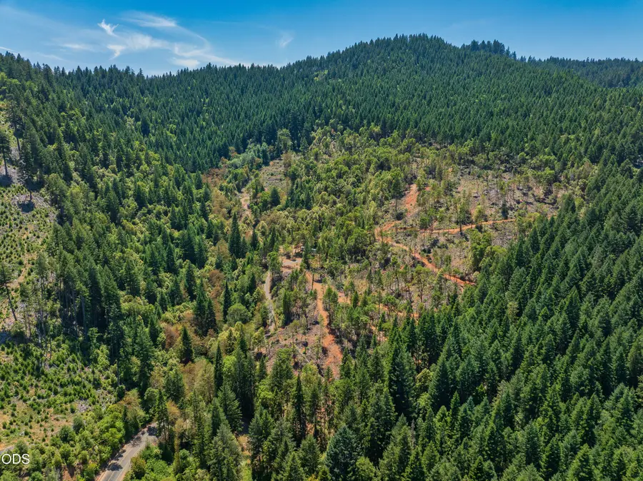 1132 Bridge Lane, Wolf Creek, OR 97497 - #3