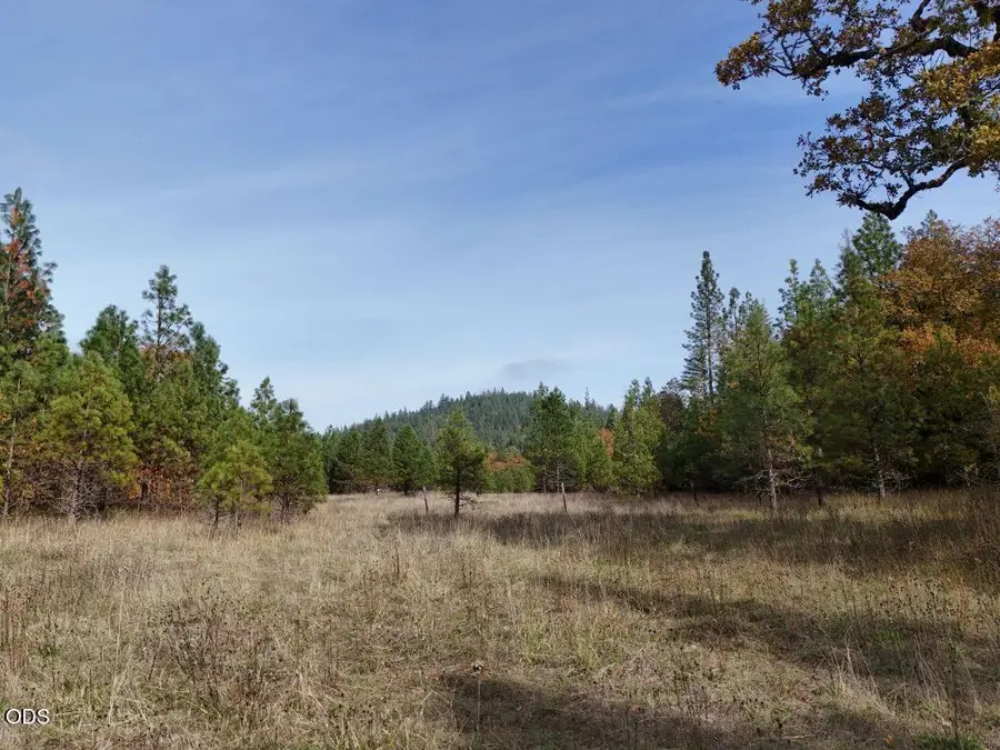 2350 Caves Highway, Cave Junction, OR 97523 - #2