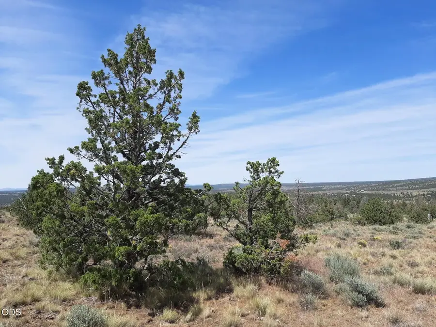 SE Weatherby Loop #4800, Prineville, OR 97754 - #2