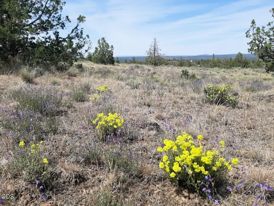 SE Weatherby Loop #4800, Prineville, OR 97754 - #3