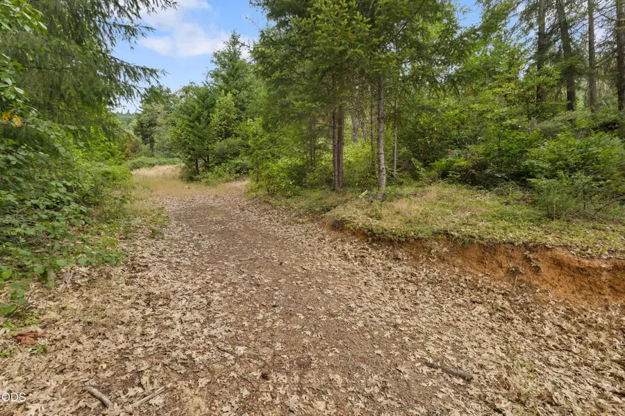 484 Brimstone Road, Wolf Creek, OR 97497 - #3