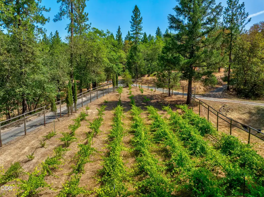 475 Penny Lane, Grants Pass, OR 97527 - #3