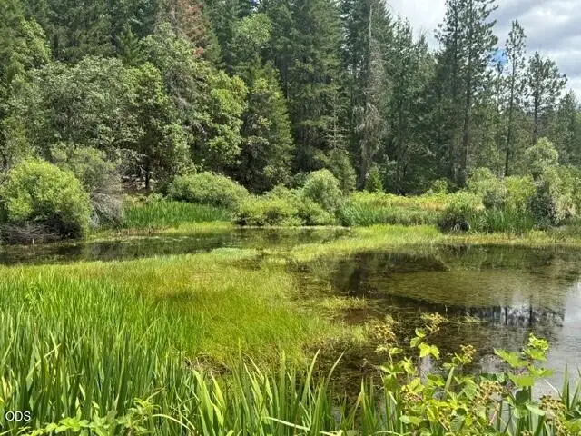 5345 Westside Road, Cave Junction, OR 97523 - #2