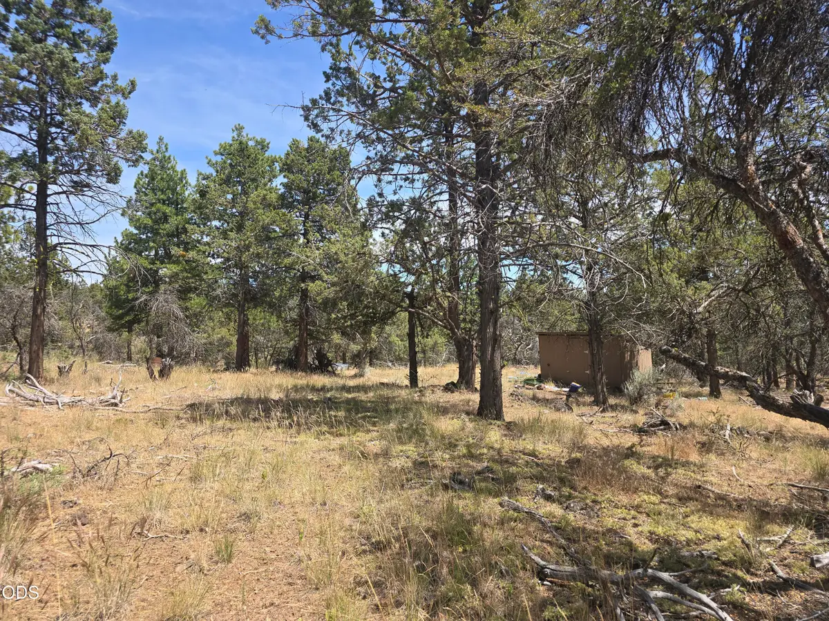 11436 Wildhorse Drive, Bonanza, OR 97623 - #1