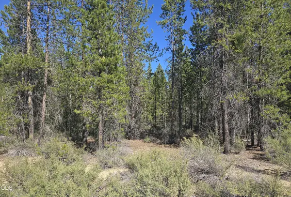 5 Mowich Street, Crescent Lake, OR 97733