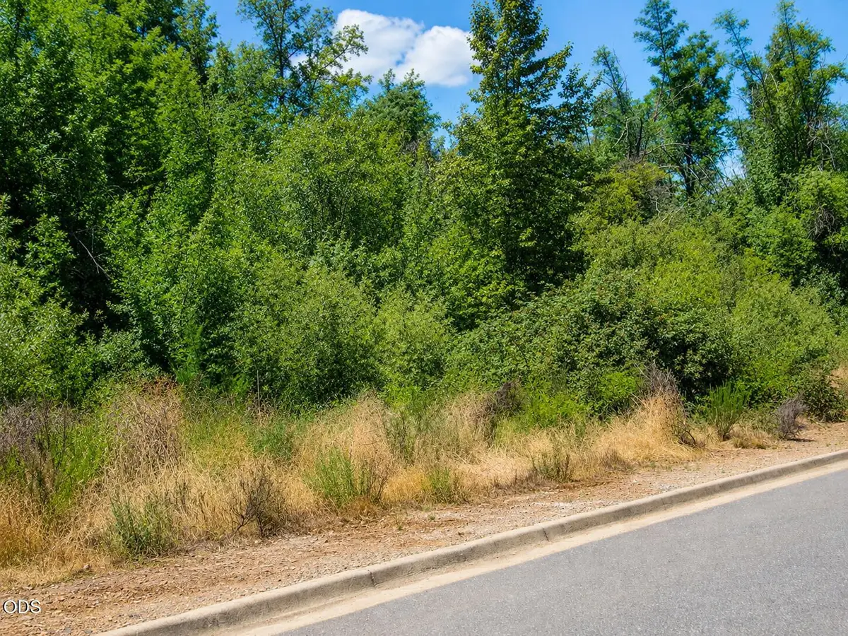1294 Golf Club Drive, Cave Junction, OR 97523 - #1