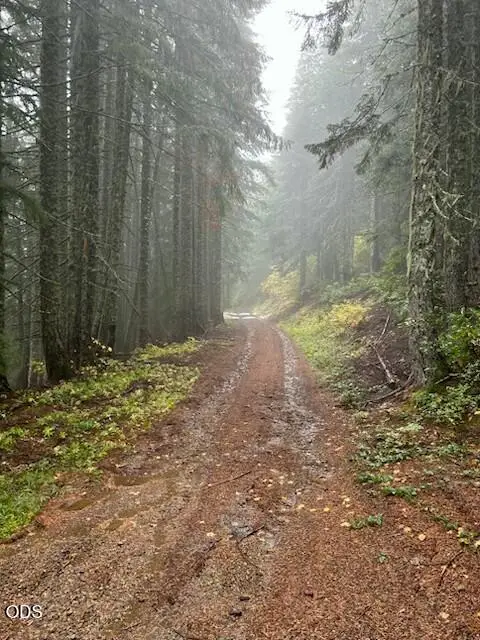 0 Forest Road 2820 #100, Sweet Home, OR 97386 - #1