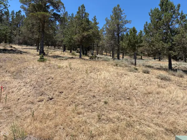 0 Murrelet Road #Lot 1139, Klamath Falls, OR 97601