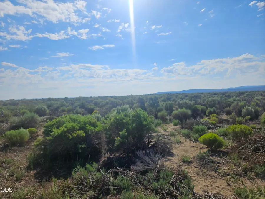 Carrico Road #Lot 500, Christmas Valley, OR 97641 - #2
