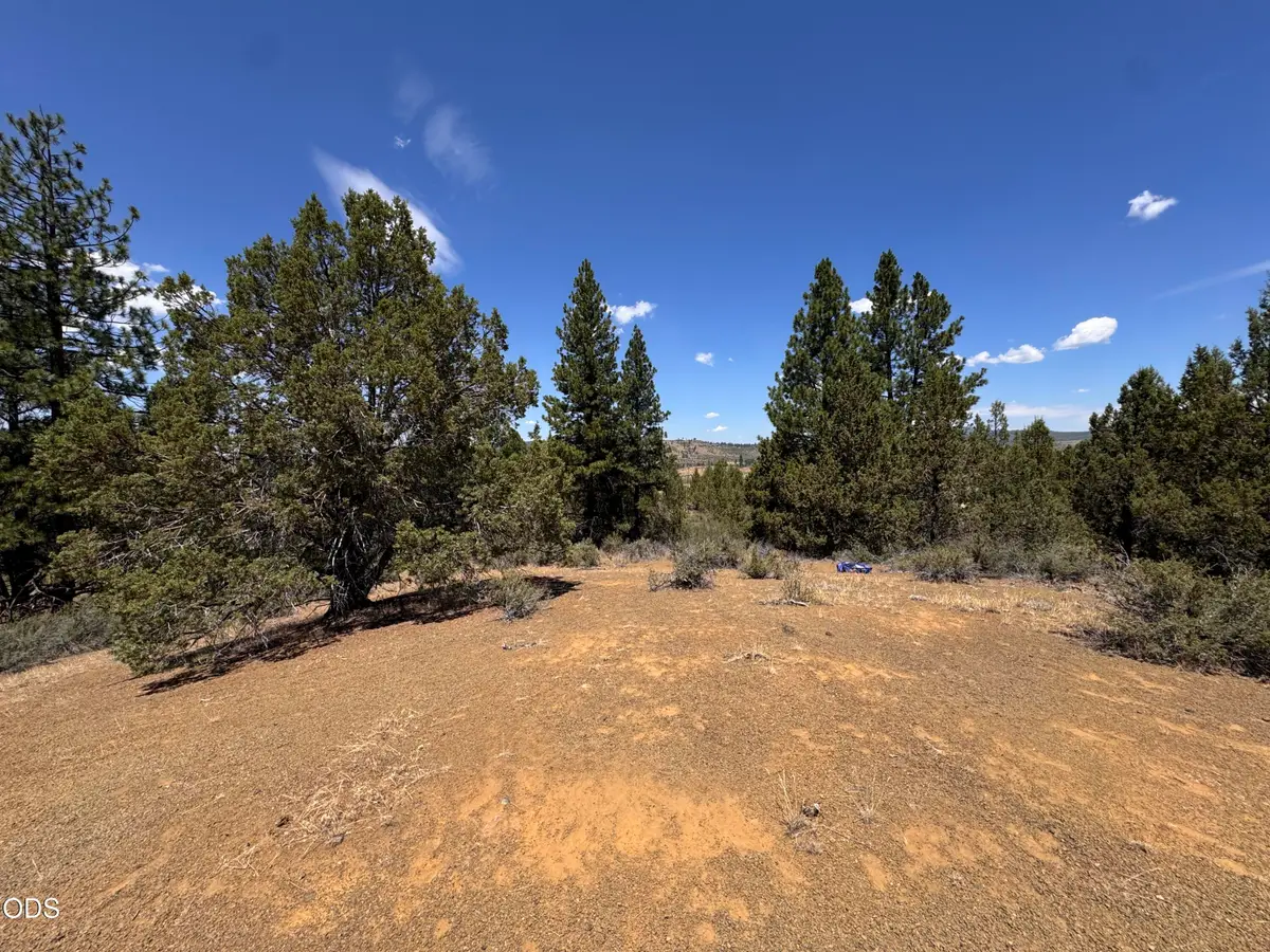 0 NE Pheasant Lane #27, Chiloquin, OR 97639 - #1