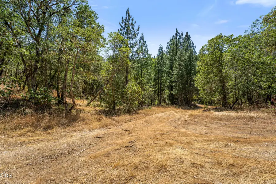 4199 Foots Creek Road, Rogue River, OR 97537 - #2