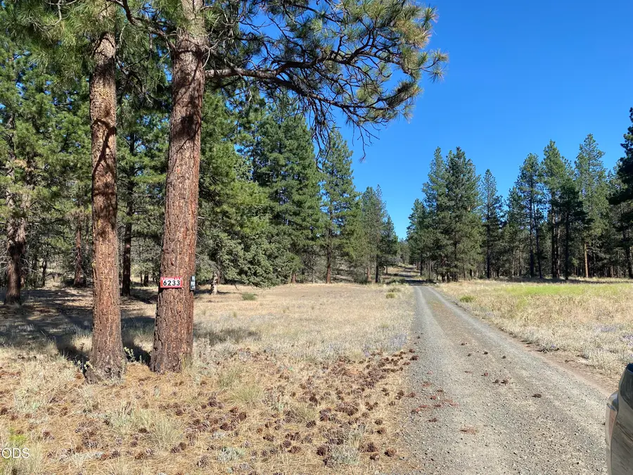 6233 Happy Hollow Lane, Bonanza, OR 97623 - #2