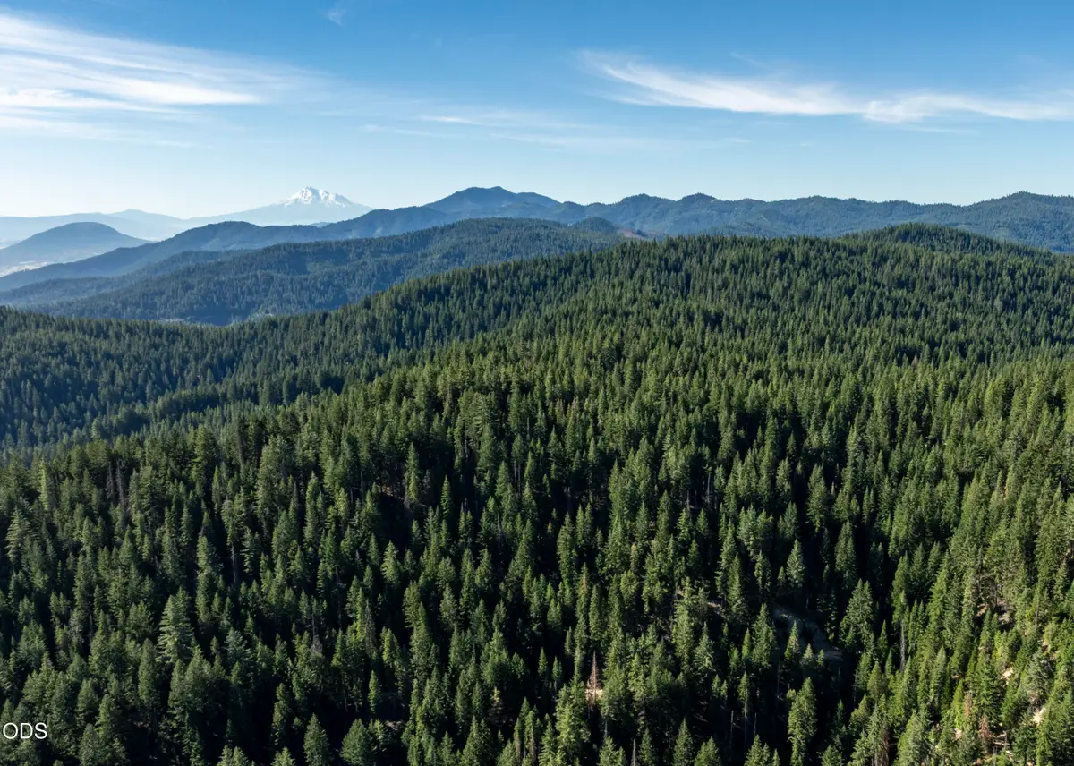 0 Hungry Ridge, Ashland, OR 97520 - #1