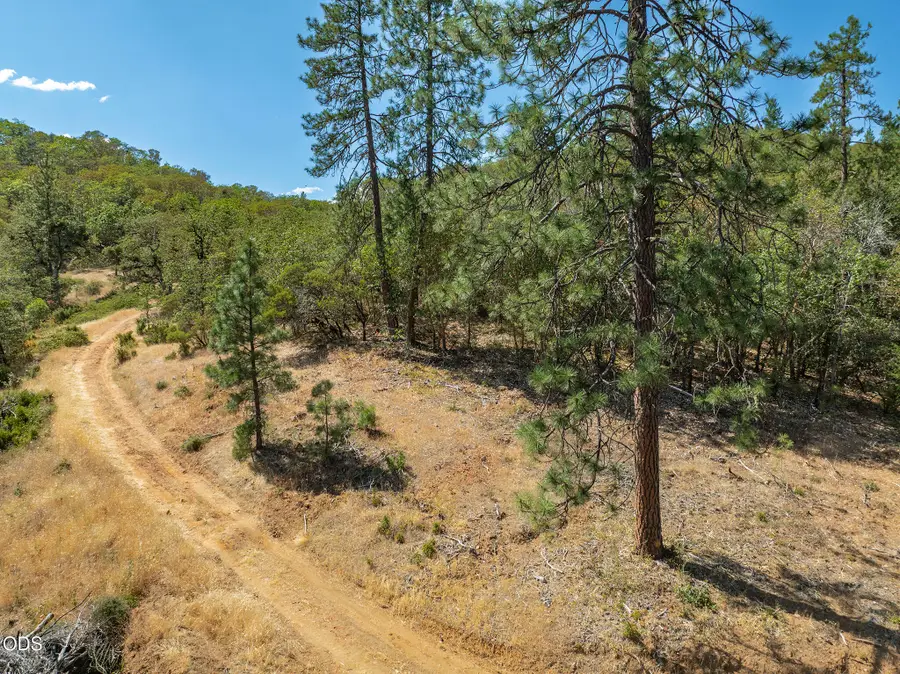Homewood Road #TL 102, Grants Pass, OR 97527 - #3