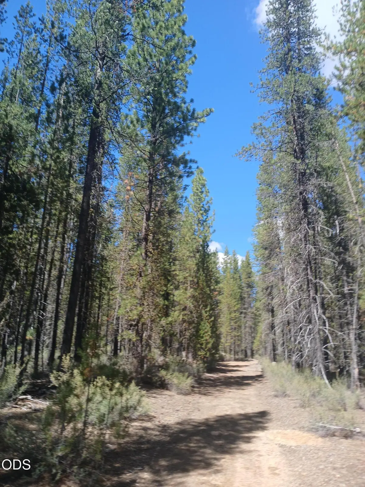 0 Schoonover 5 Road #Lot 3600, Crescent, OR 97733 - #1
