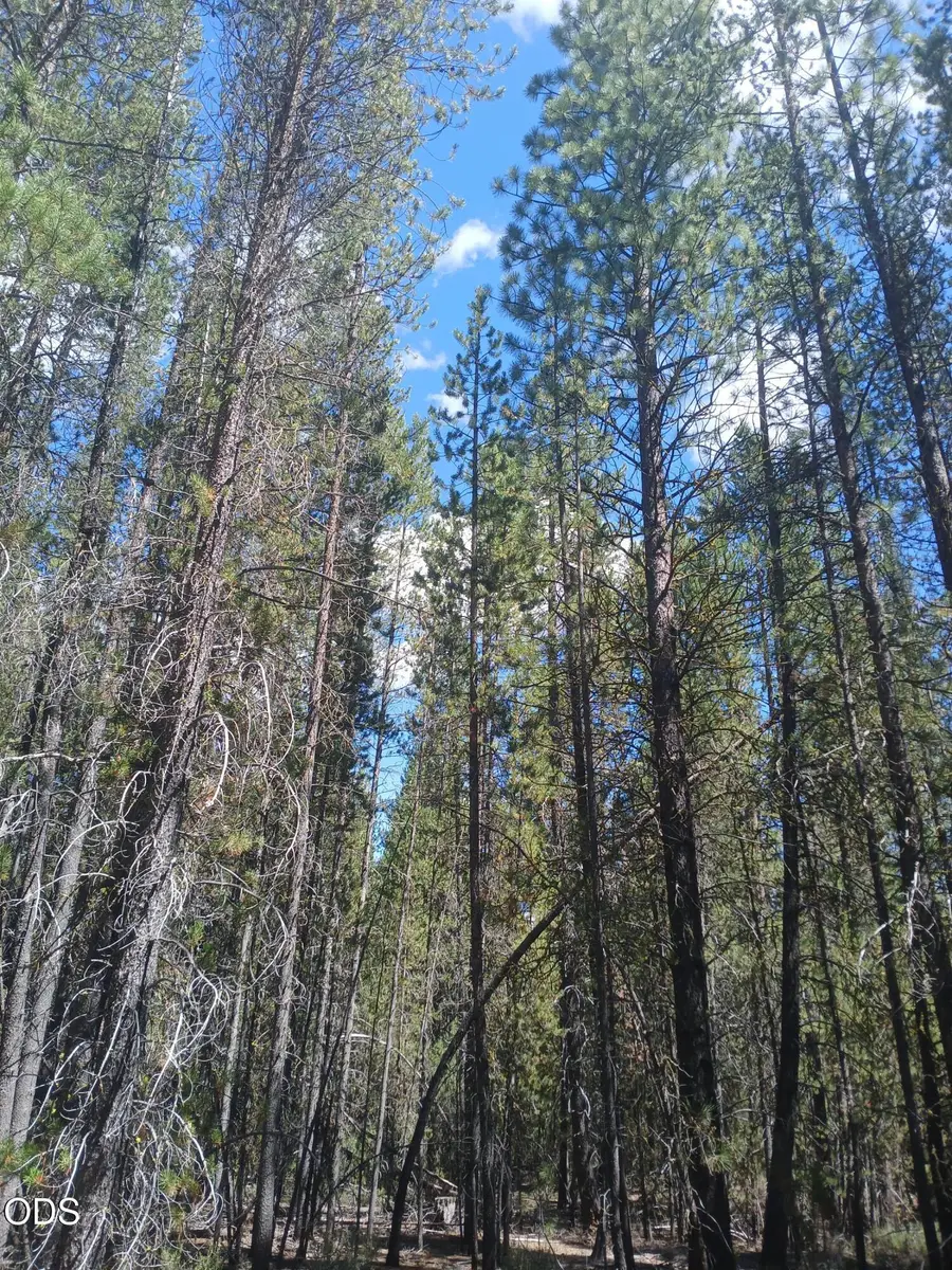0 Schoonover 5 Road #Lot 3600, Crescent, OR 97733 - #2