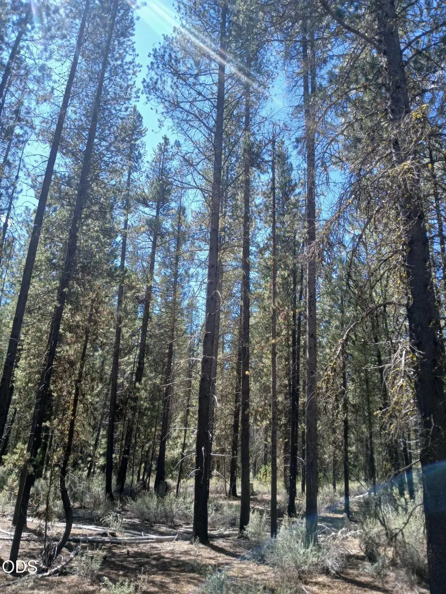 0 Schoonover 5 Road #Lot 3600, Crescent, OR 97733 - #3