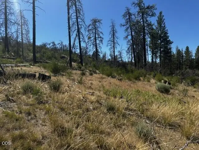 0 Wren Drive #Lot 5, Bonanza, OR 97623 - #2