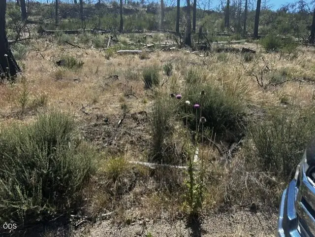0 Wren Drive #Lot 5, Bonanza, OR 97623 - #3