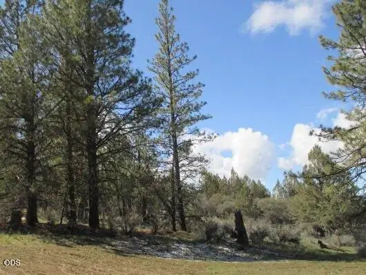 Partin #Lot 3, Beatty, OR 97621 - #3