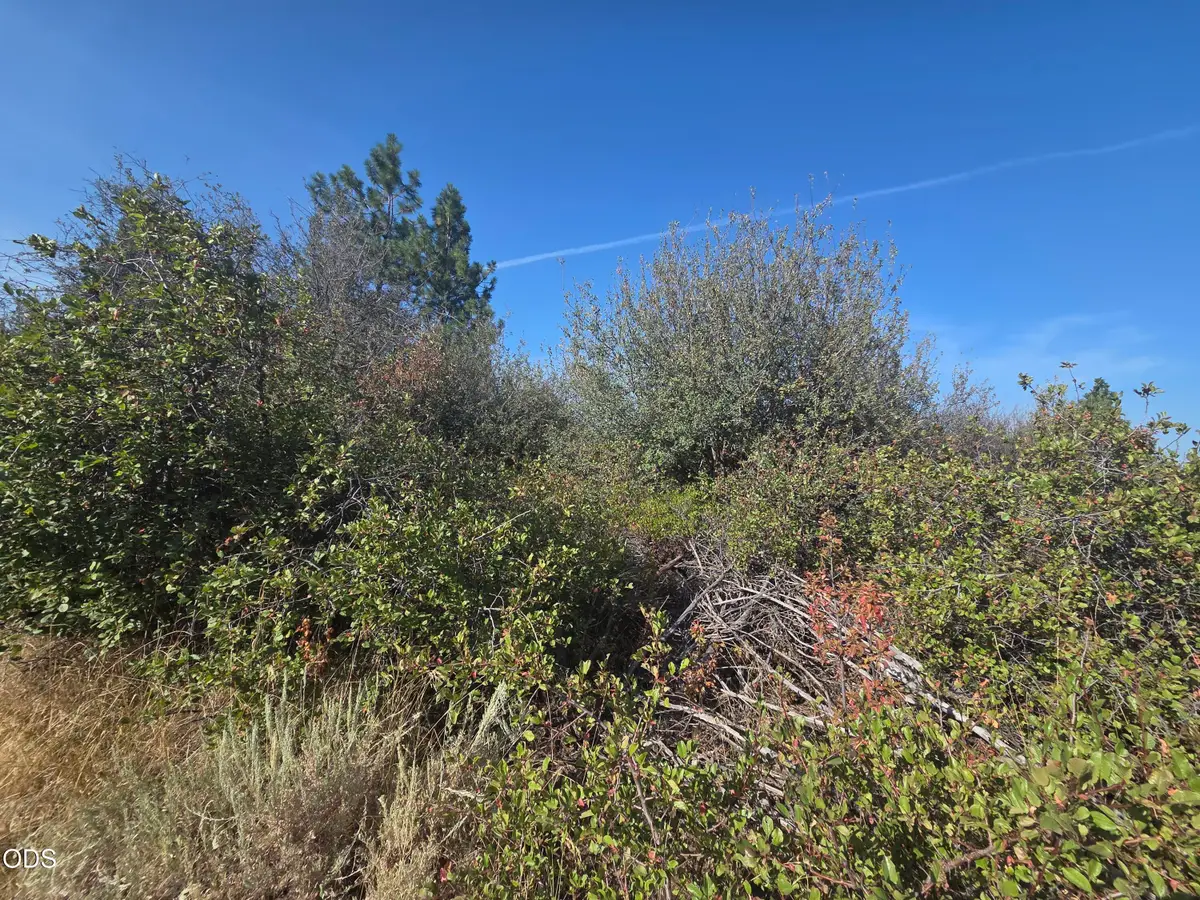 0 Lakeland Road #Lot 24, Chiloquin, OR 97624 - #1