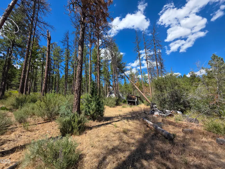Charlpine #lot 41 & 42, Sprague River, OR 97639 - #3