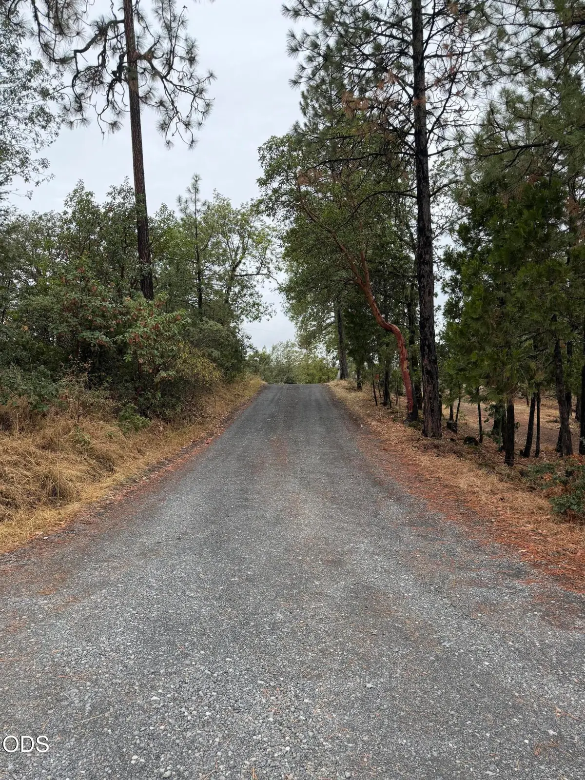 N Obenchain Road, Butte Falls, OR 97522 - #1