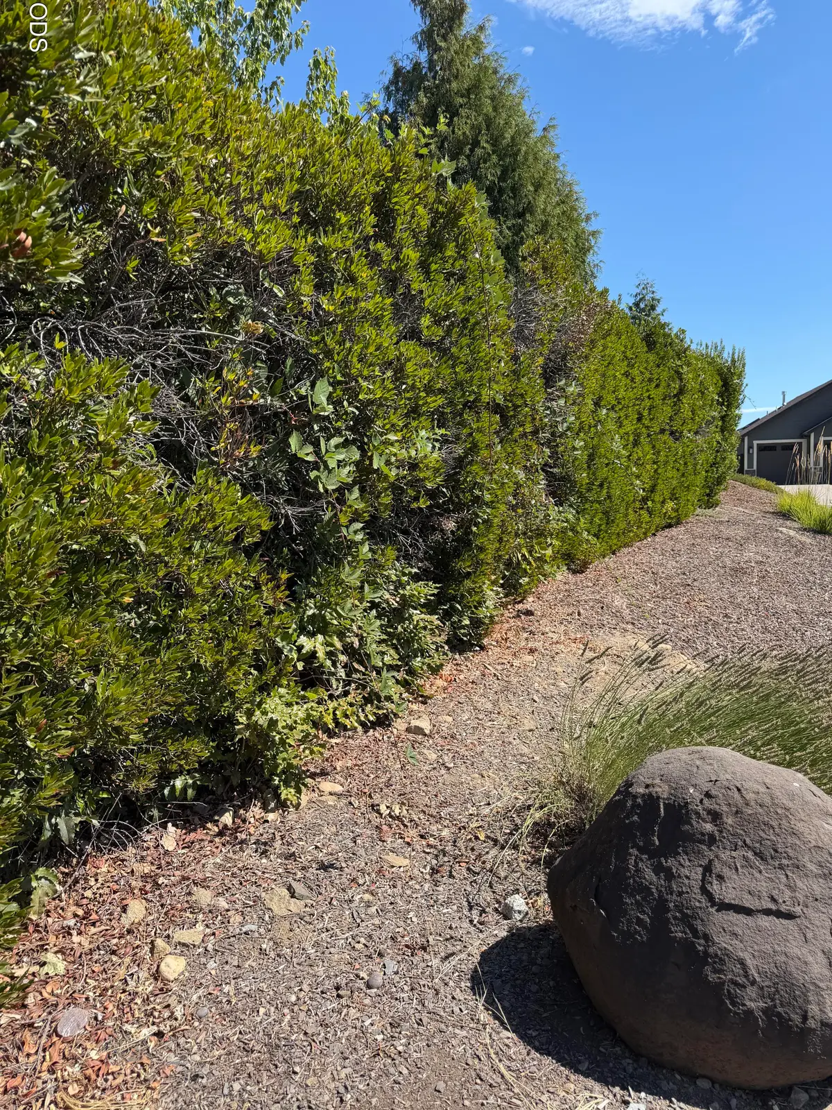 E Rachel Way, Medford, OR 97501 - #1