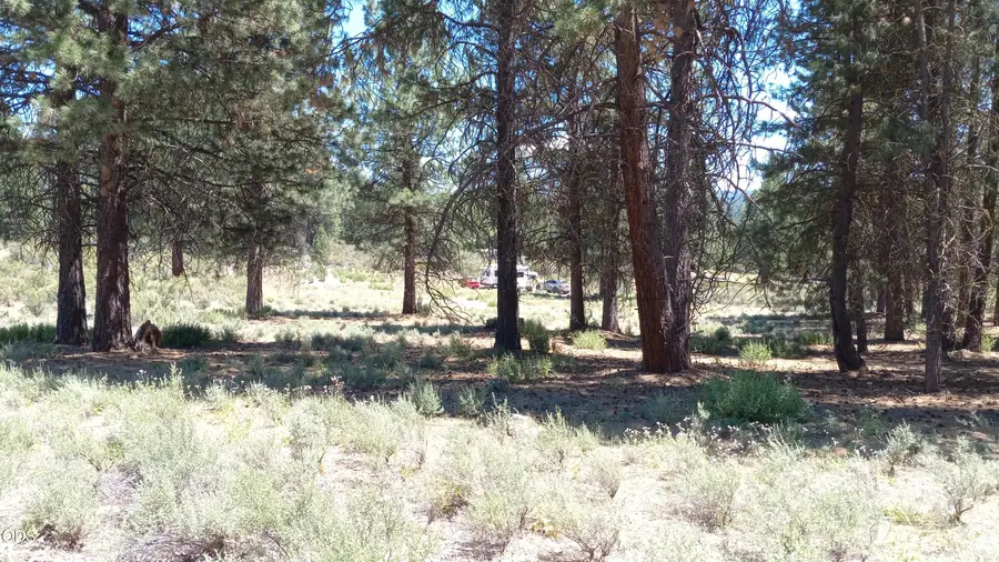 00 Pine Ridge Loop #Lot 11, Chiloquin, OR 97624 - #3