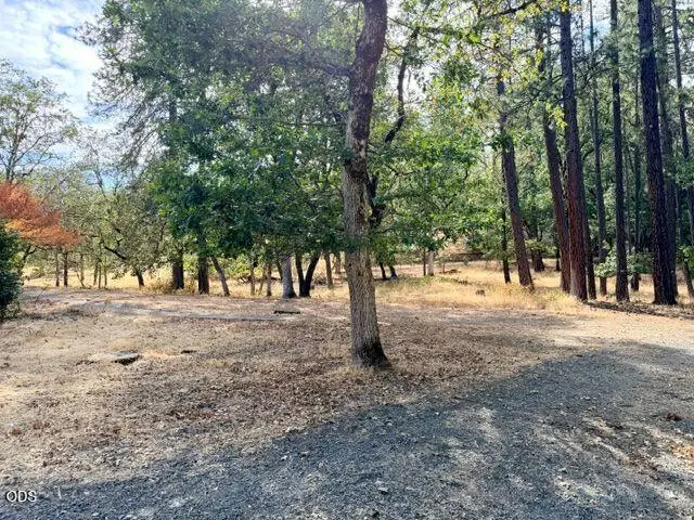 6701 Tunnel Loop Road, Grants Pass, OR 97526 - #2