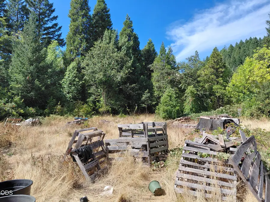 8595 Deer Creek Road, Selma, OR 97538 - #2