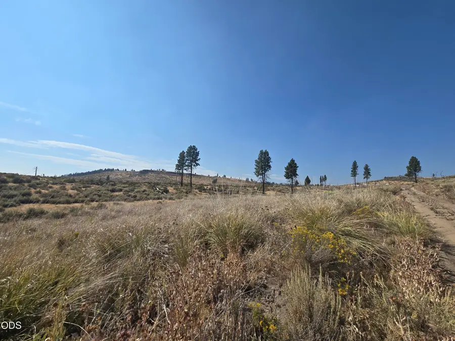 Ram Road #6, Chiloquin, OR 97624 - #2