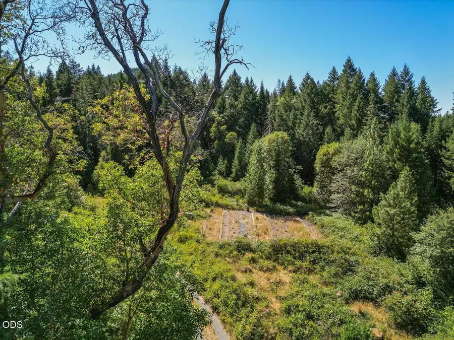 433 Old Stage Road, Wolf Creek, OR 97497 - #2