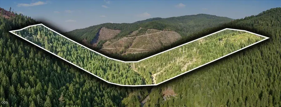 7007 Placer Road, Wolf Creek, OR 97497 - #2