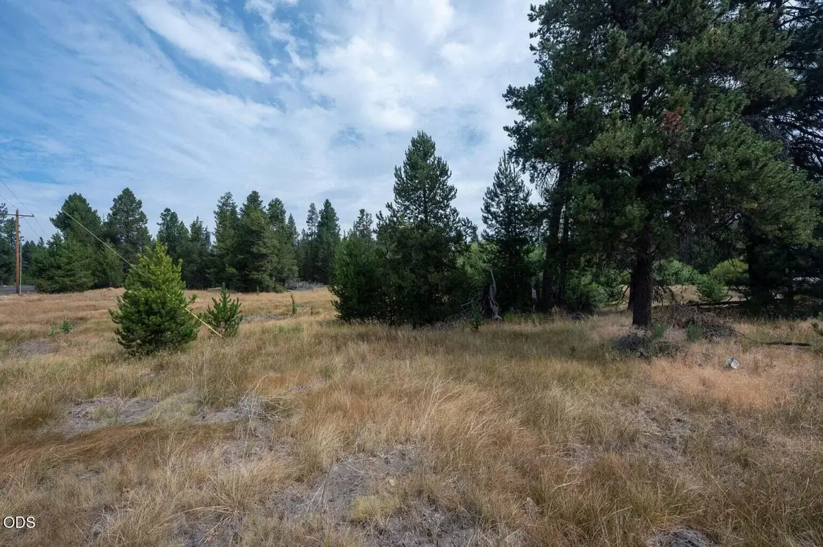 51596 Dorrance Meadow Road, La Pine, OR 97739 - #1