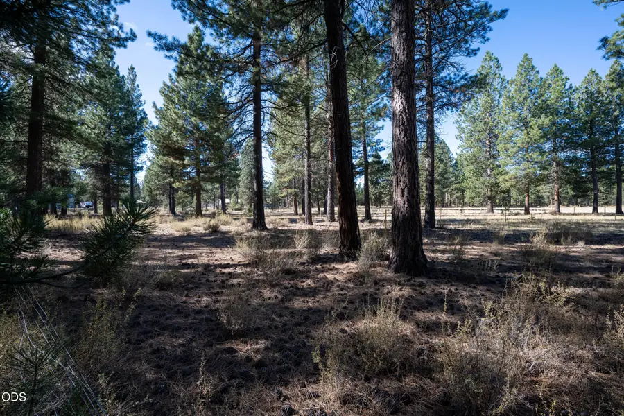 50775 Masten Road, La Pine, OR 97739 - #2