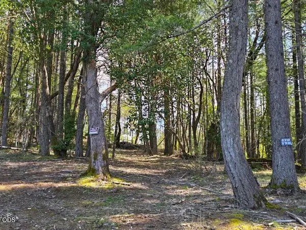 6715 W Side Road, Cave Junction, OR 97523