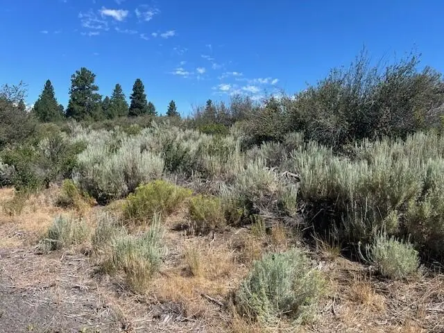 Wrightwood #Lot 17, Chiloquin, OR 97624 - #1
