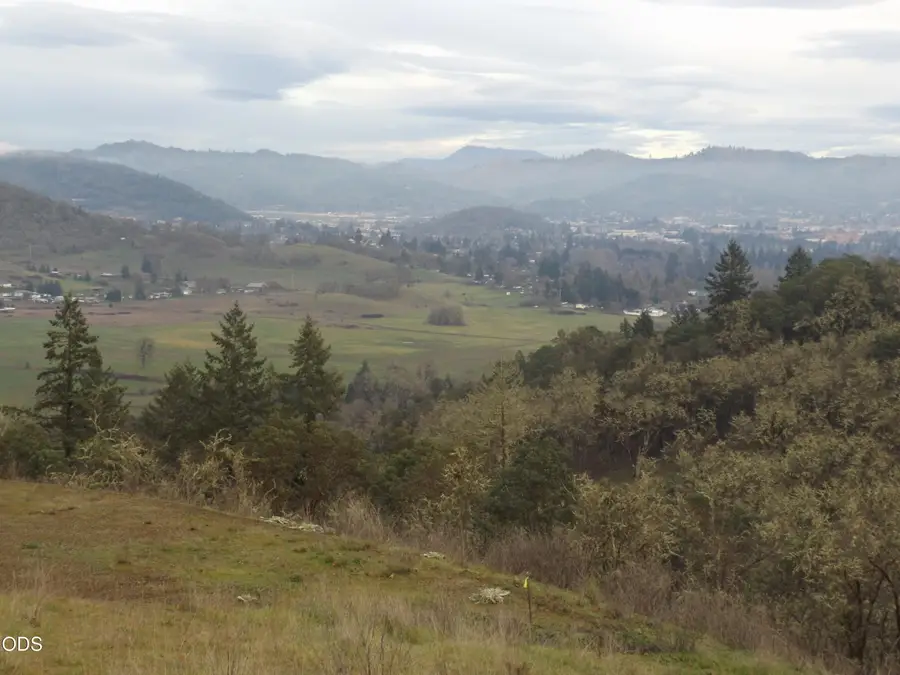 1144 Starveout Creek Road, Azalea, OR 97410 - #2