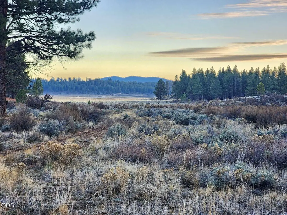 20 Tableland Road, Sprague River, OR 97639 - #1