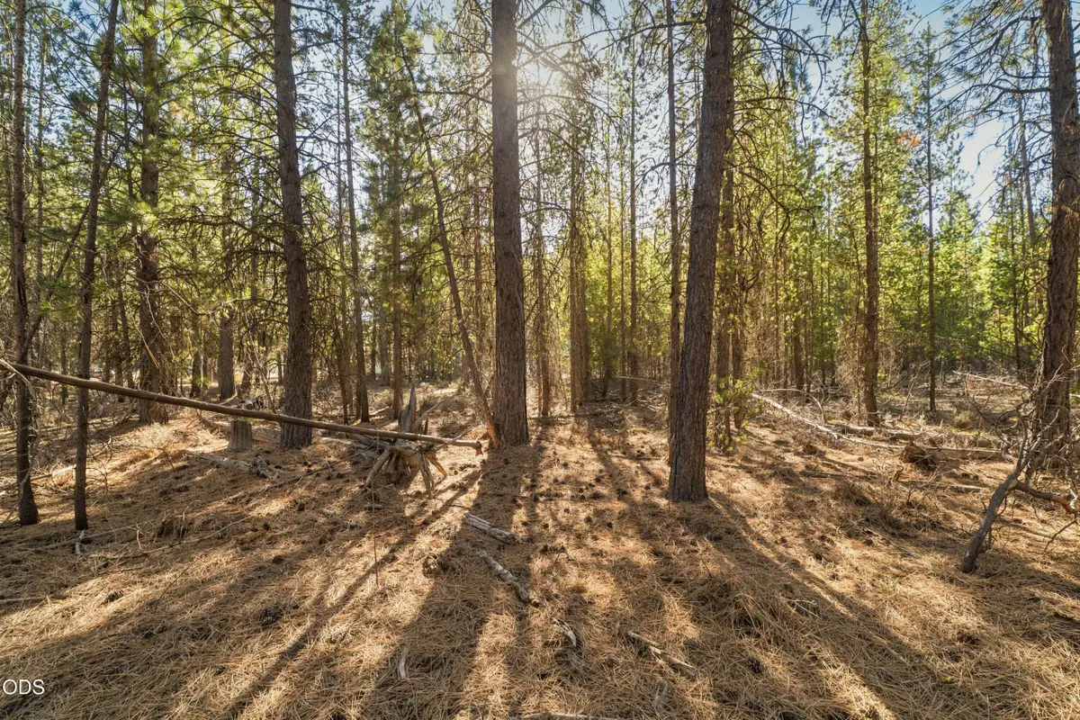 15785 Shellie Lane, La Pine, OR 97739 - #1