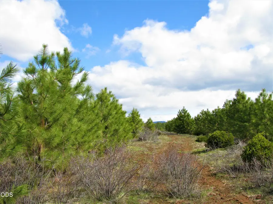 0 Greensprings Drive #2200, Klamath Falls, OR 97601 - #2