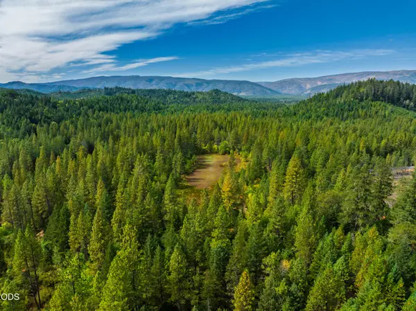Waldo Road, Cave Junction, OR 97523