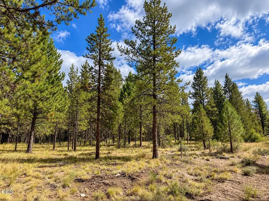16331 Big Buck Lane, Bend, OR 97707 - #3