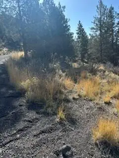 0 Telephone Flat Road, Chiloquin, OR 97624 - #3