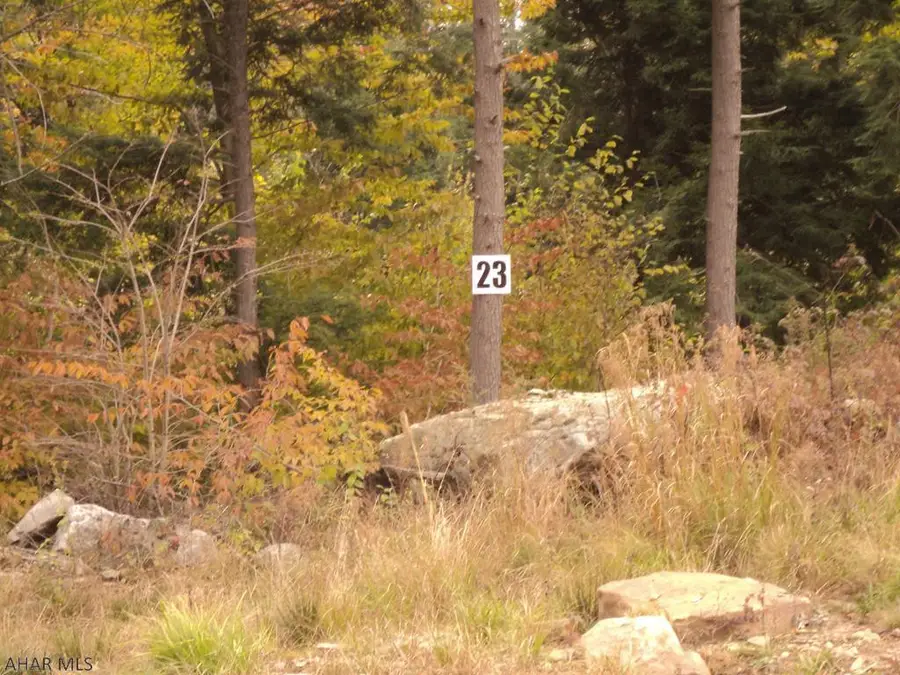 Lot # 23 Bear Rock Road, Lilly, PA 15938 - #3