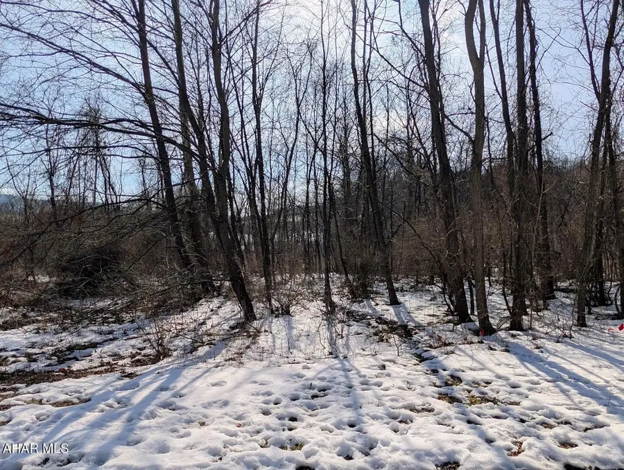 Lot 6 & 7 Juniata Mills / Gristmill Road, Everett, PA 15537 - #3